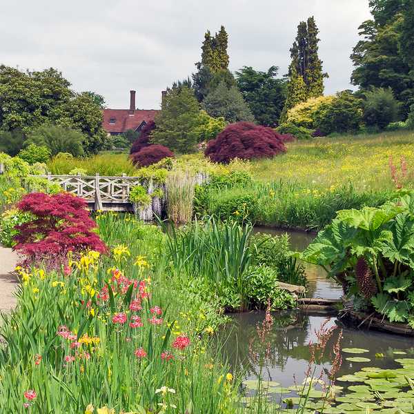 The 5 Benefits of Gardening