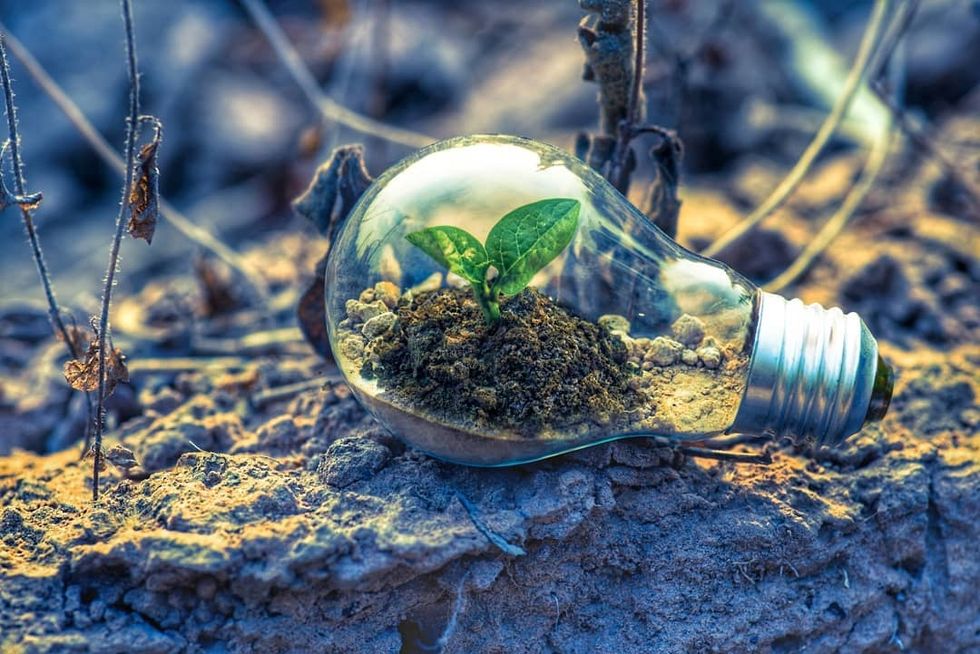 Pick Up Your Damn Trash