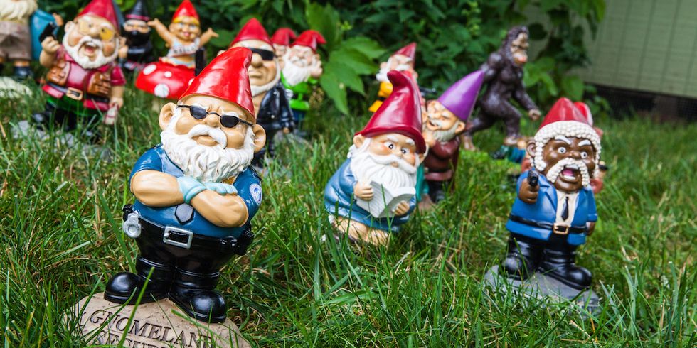 The Story of Shannon