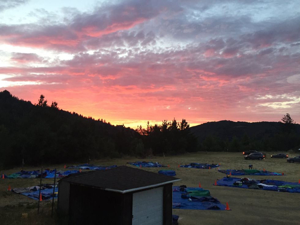 I Never Thought I would Say It, But I Miss School