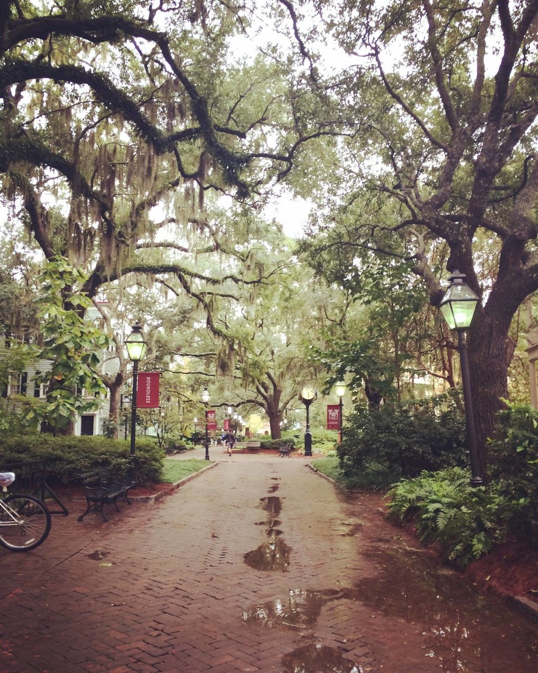 11 Rainy Day Activities In Charleston