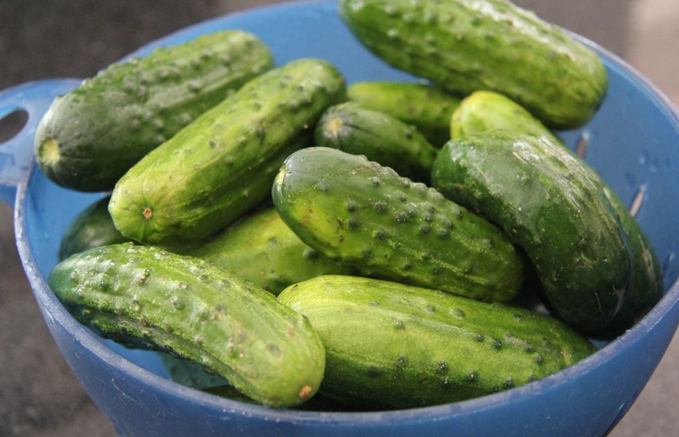 8 Life Truths You Know If You Love A Good Pickle, Like Me