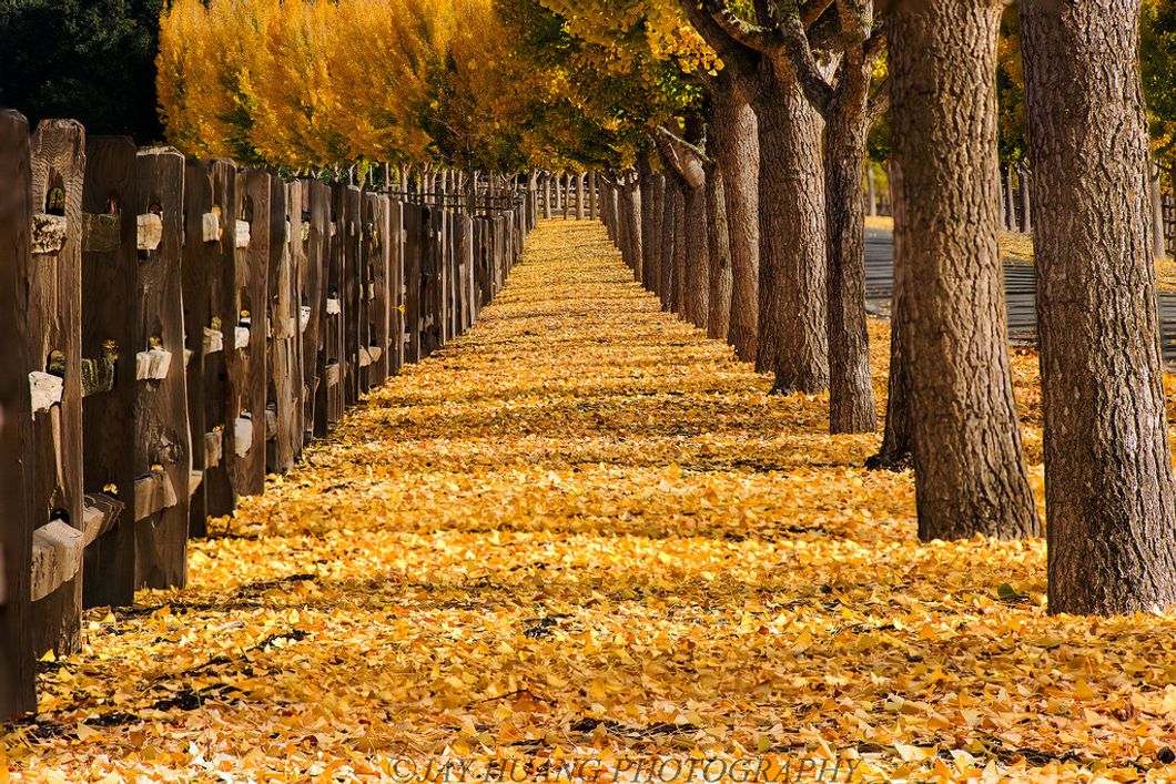 Poetry On Odyssey: 'Sweater Weather'