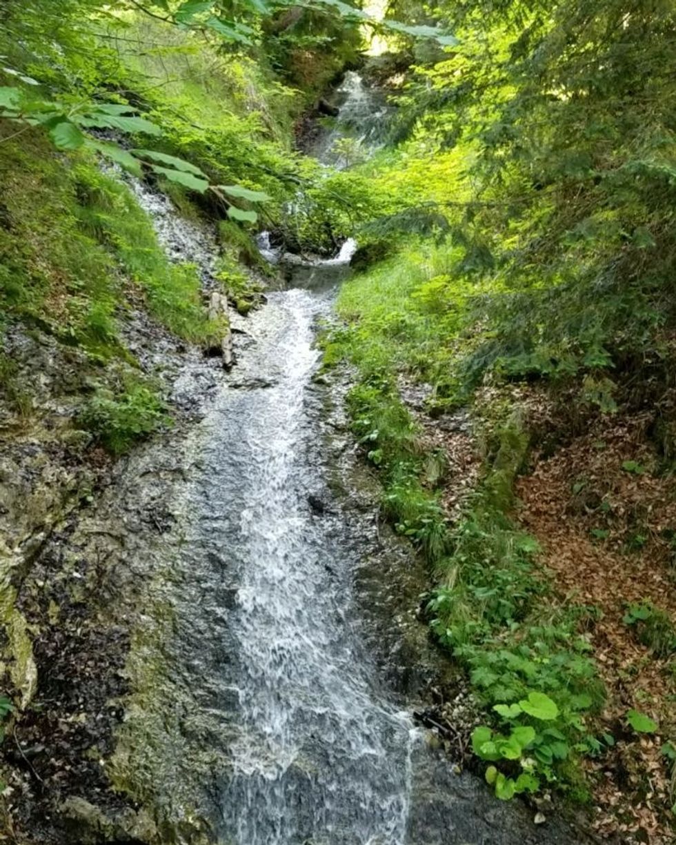 Poetry On Odyssey: Poem Of The Week