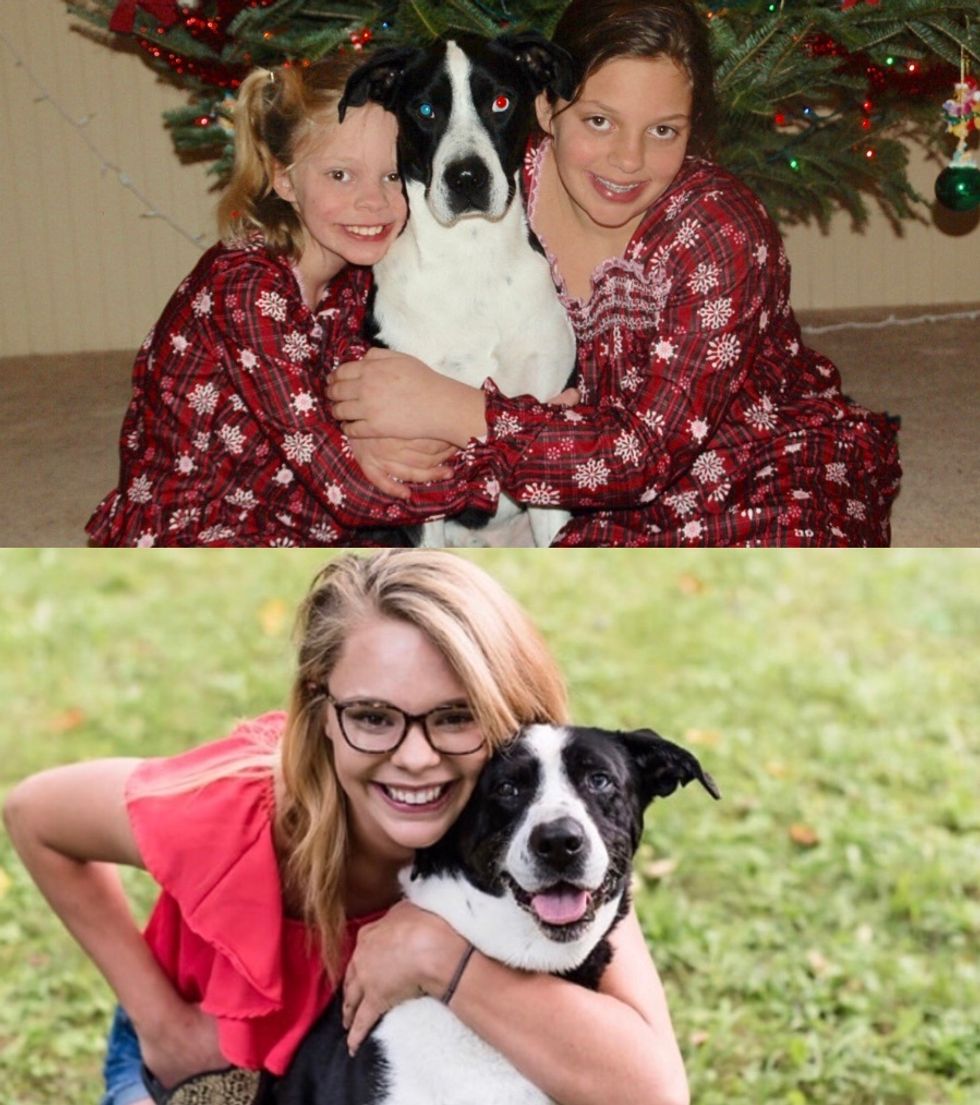 An open letter to my first dog | The Odyssey Online