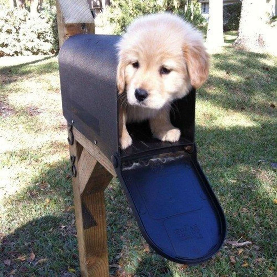 5 easy tips to go cruelty-free In Your Beauty Routine According To Instagram Guru Lauren Godin