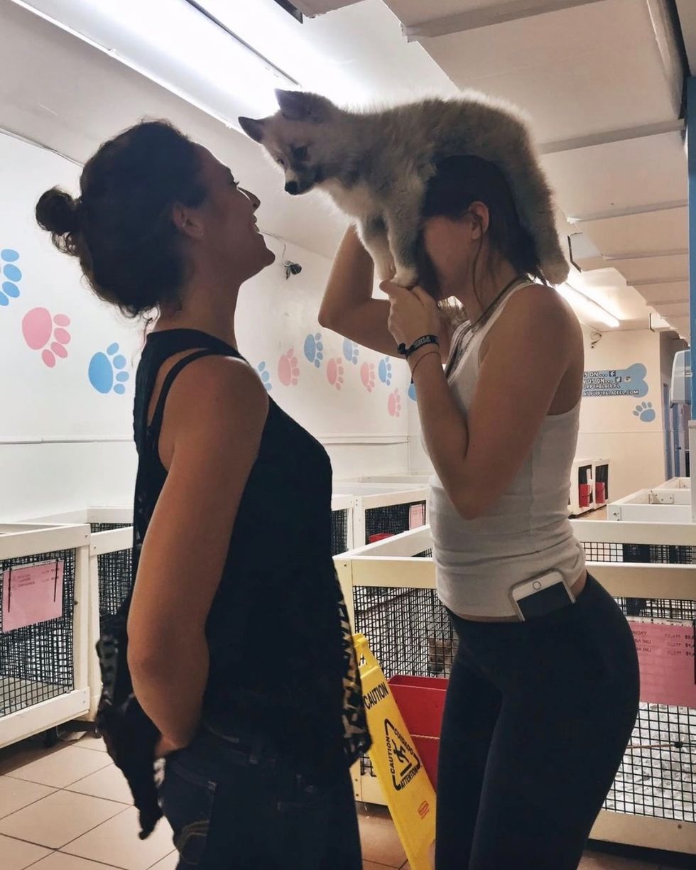 What It's Like Working In A Pet Store | The Odyssey Online