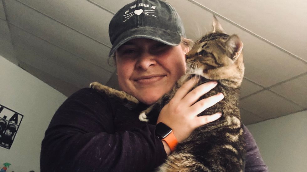 10 struggles Of being a cat owner