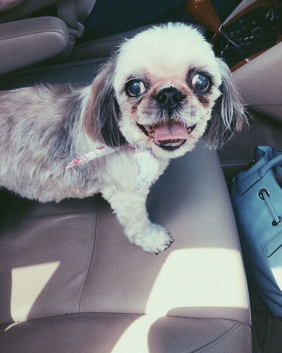 Saying Goodbye is hard