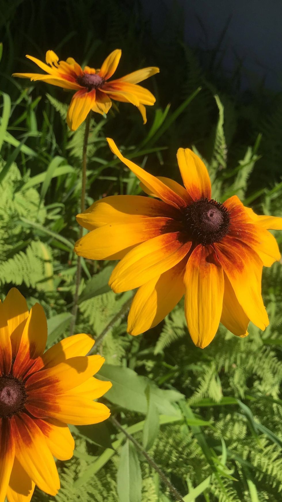 to the ones who helped me grow...