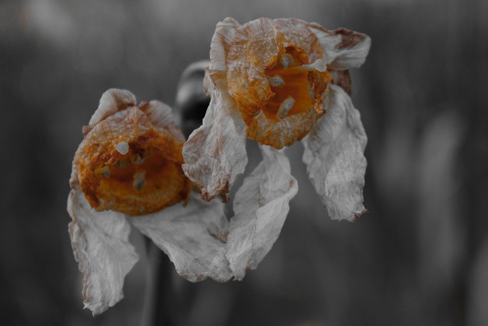 A Thank You To The Man Who Broke My Wife's Heart