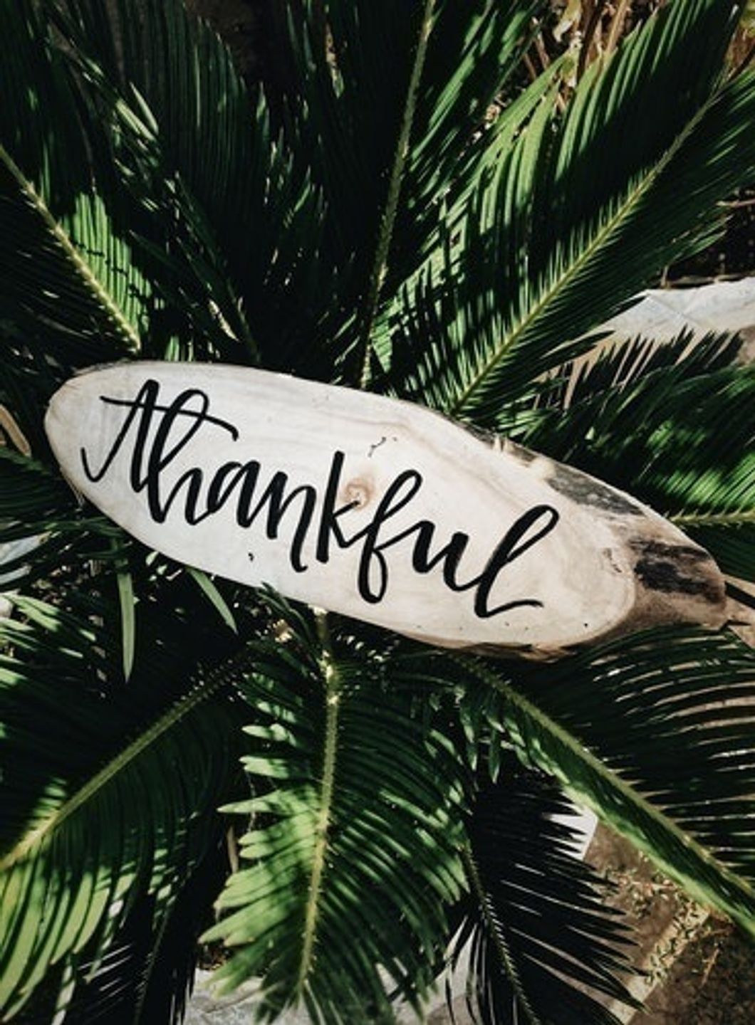5 Things You Should Always Remember To Be Thankful For