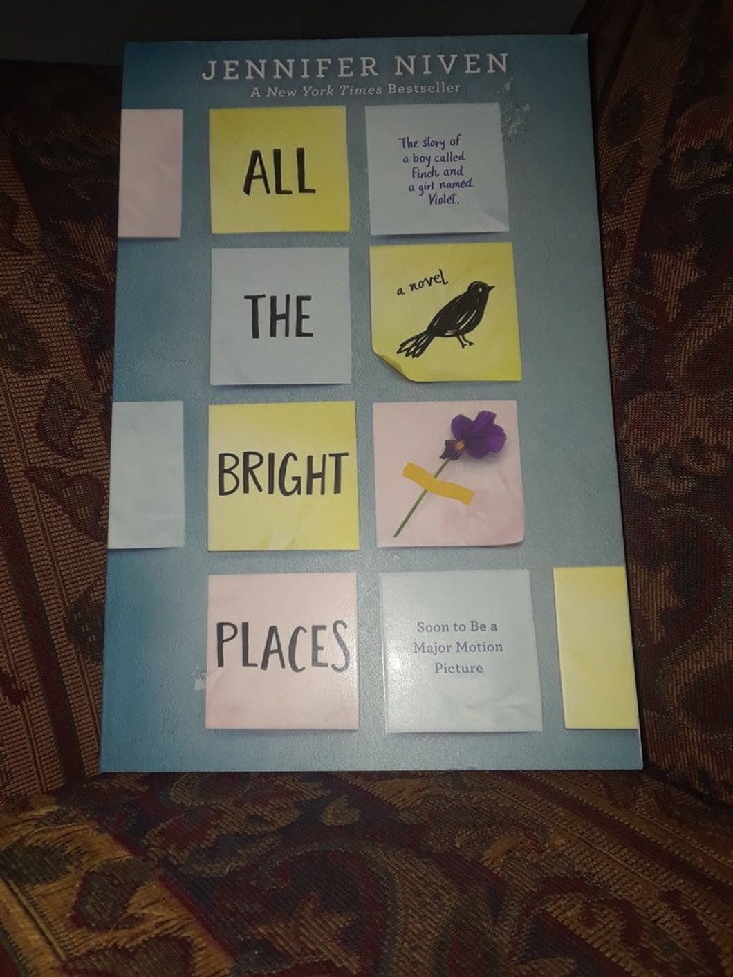 'All The Bright Places' Gets Their Finch