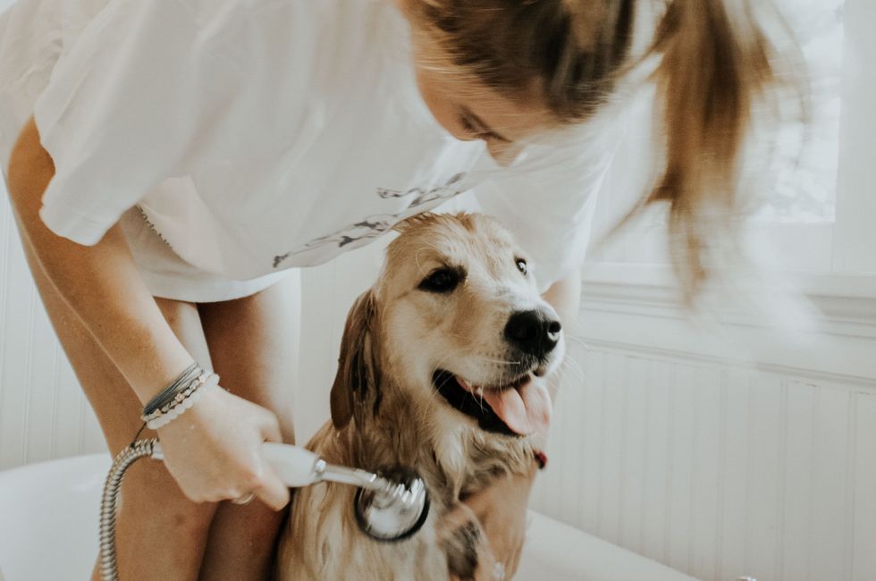 10 Reasons A Dog Deserves Your Love And Affection More Than Any Man Ever Will