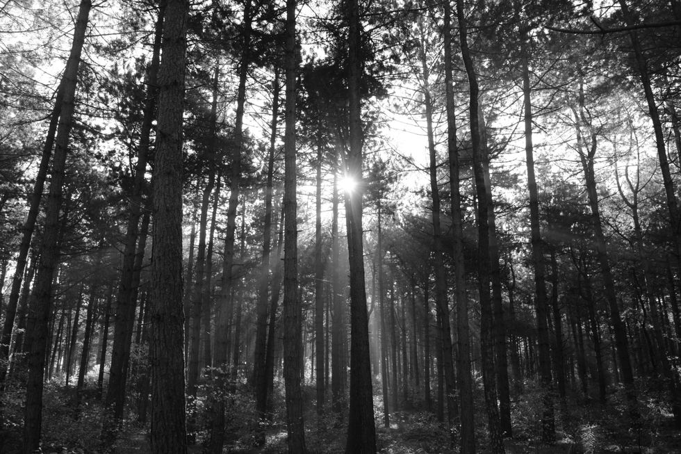 Atmospheric Black Metal Songs: July