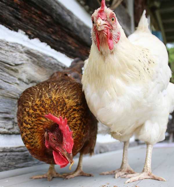 A Fear Of Spiders Sounds Normal Compared To These 20 Phobias You Never Knew Someone Could Have