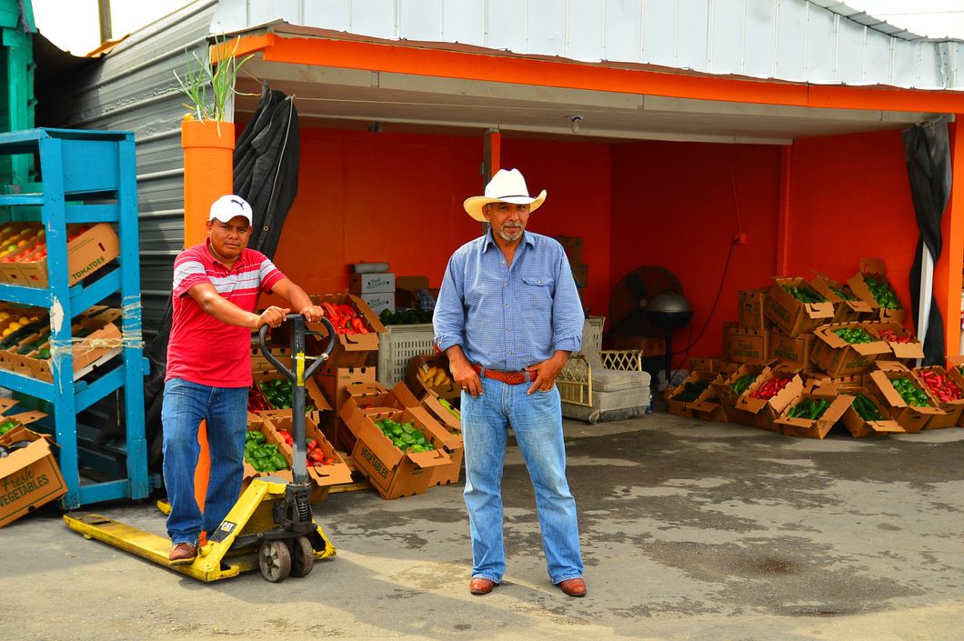Undocumented Florida Immigrants Are Saving America's Agriculture, Not Crippling The Economy