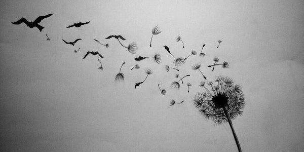 Knowing When To Let Go