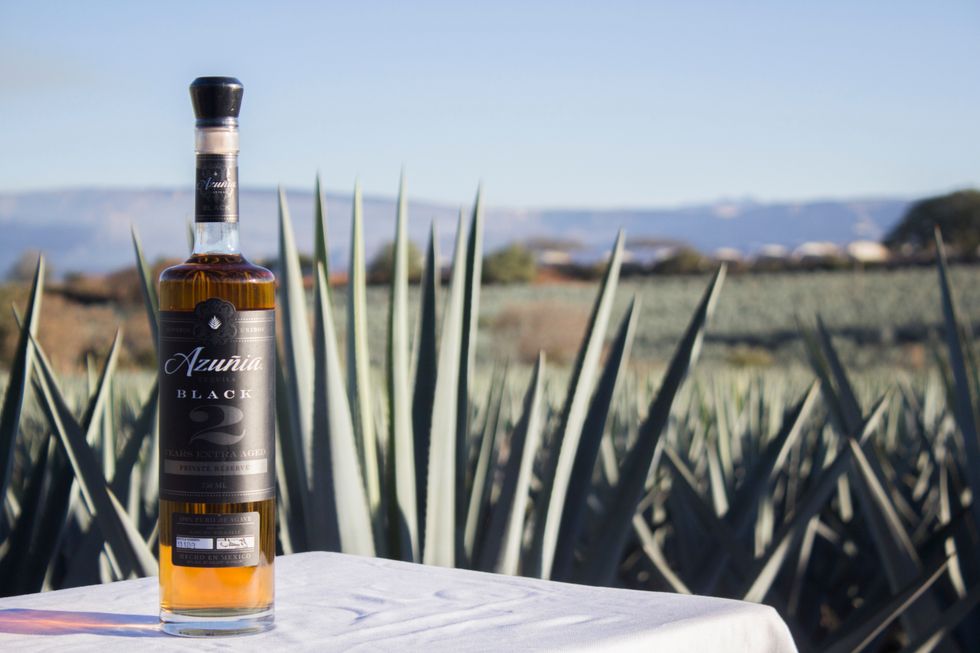 From The Girl Who Fell In Love With Tequila