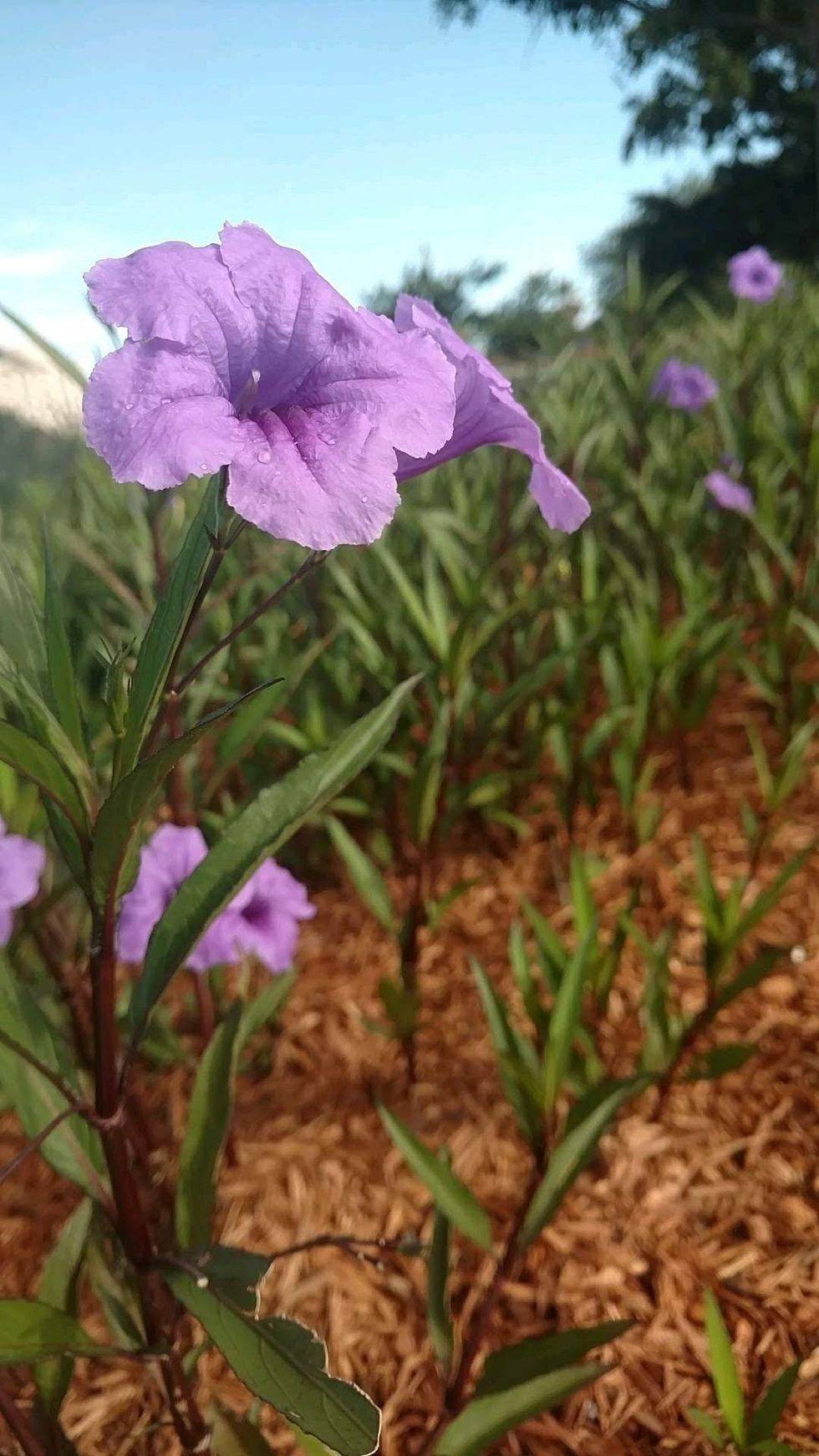 Forgiveness is shrinking you