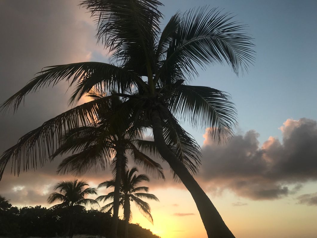 Tapping into the senses: magic Moments beneath a night sky