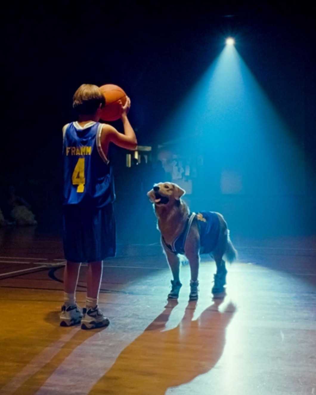 12 Disney Movies That Netflix Needs To Add In Place of All The 'Buddies' Movies