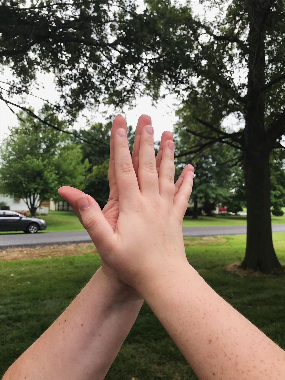 Simple Palm Reading For Beginners
