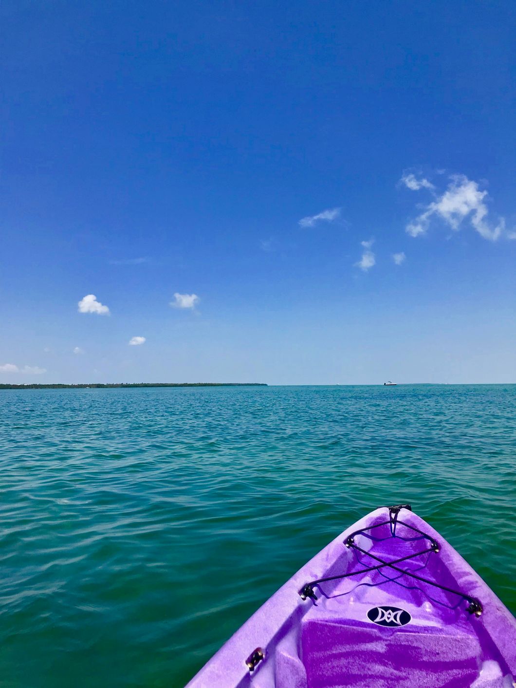 15 Facts Of Life If You Live In The Florida Keys