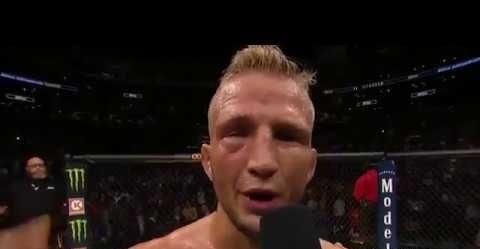 ​Is Dillashaw The Greatest Bantamweight Ever?