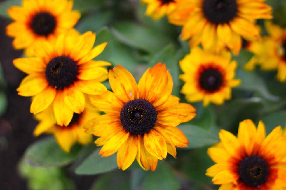 Why I'm Still An Optimist In 2018