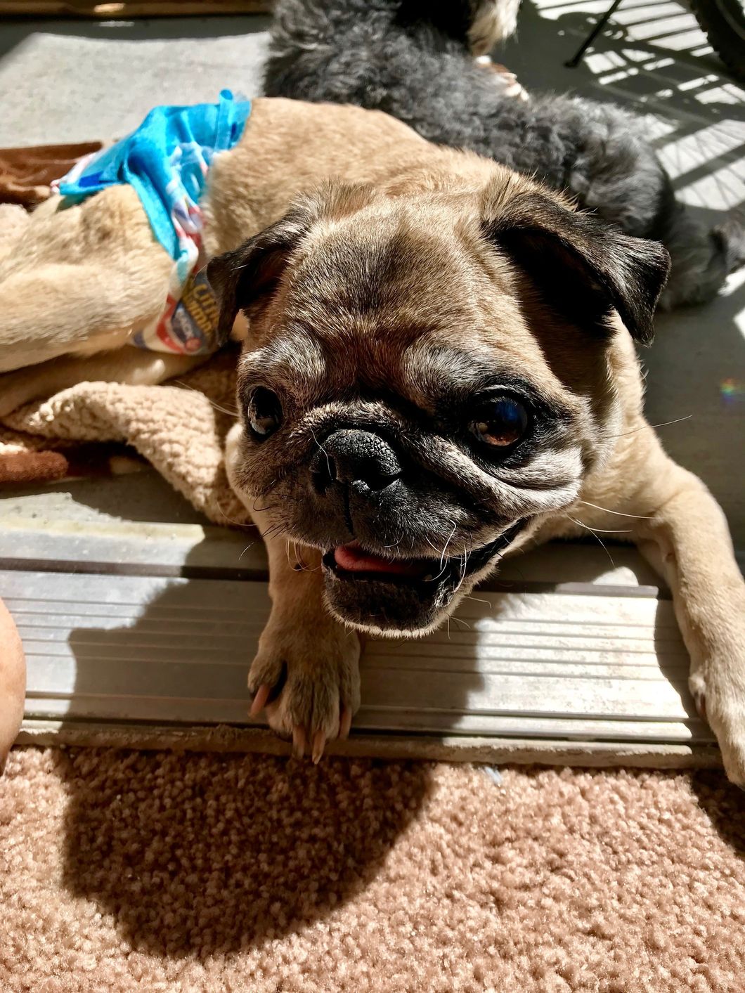 I Say Goodbye To Your Youth, But I'll Never Let Go Of Your Love