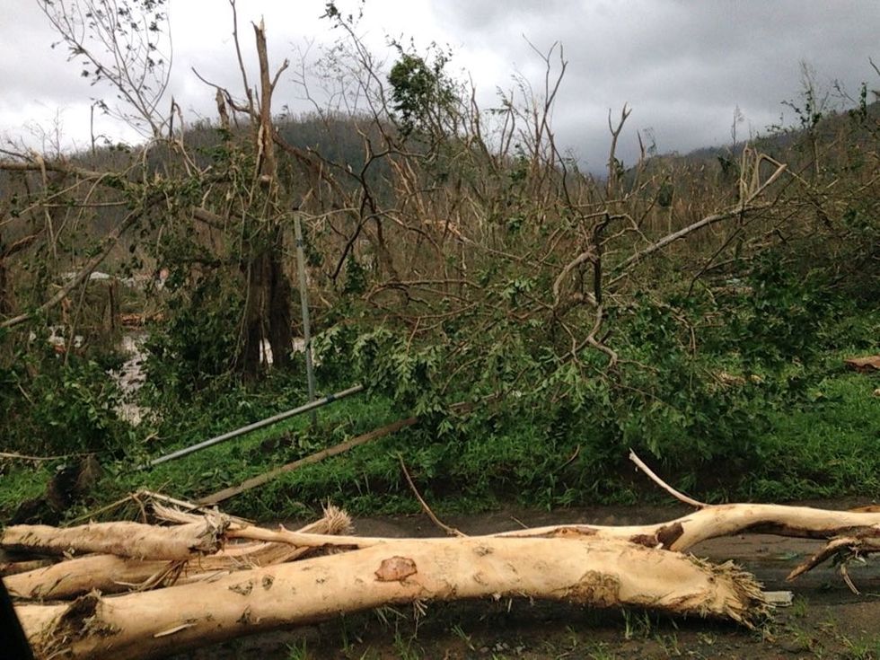 3 Life Lessons I Learned After Surviving A Catastrophic Natural Disaster