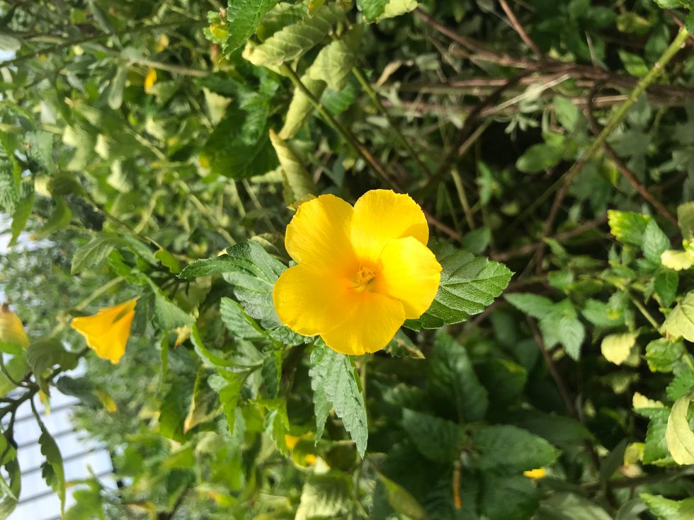 My Top 10 Natural Alternatives For Daily Products