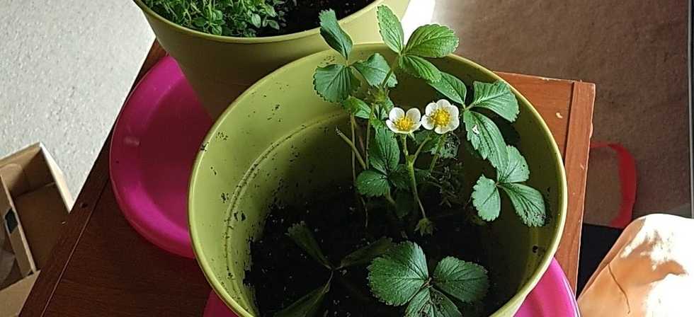 I'm Working On Achieving A Growth Mindset, You Should Too