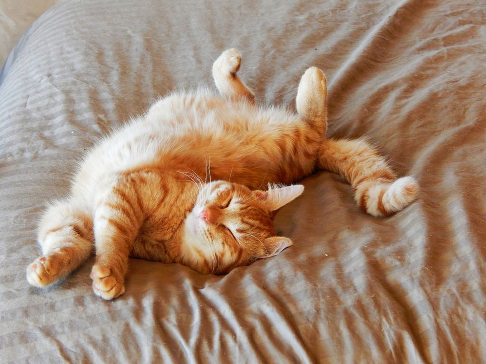 6 Places on WCU's Campus Where You Can Nap Without Judgement That You Can't In The Real World