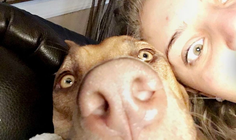 4 Reasons Your Dog Really Is Your Best Friend, No Questions Borked