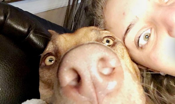 4 Reasons Your Dog Really Is Your Best Friend, No Questions Borked