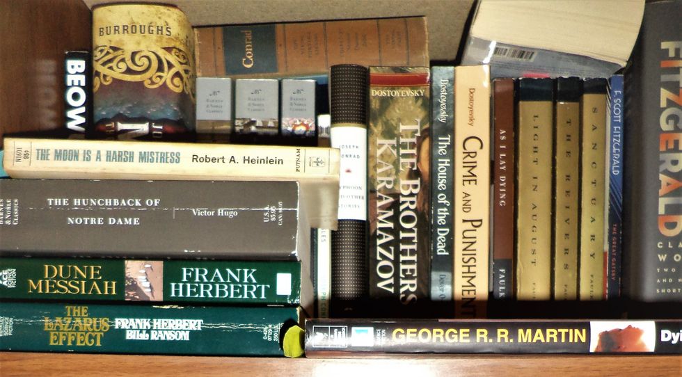 Is Literary Fiction Elitist?