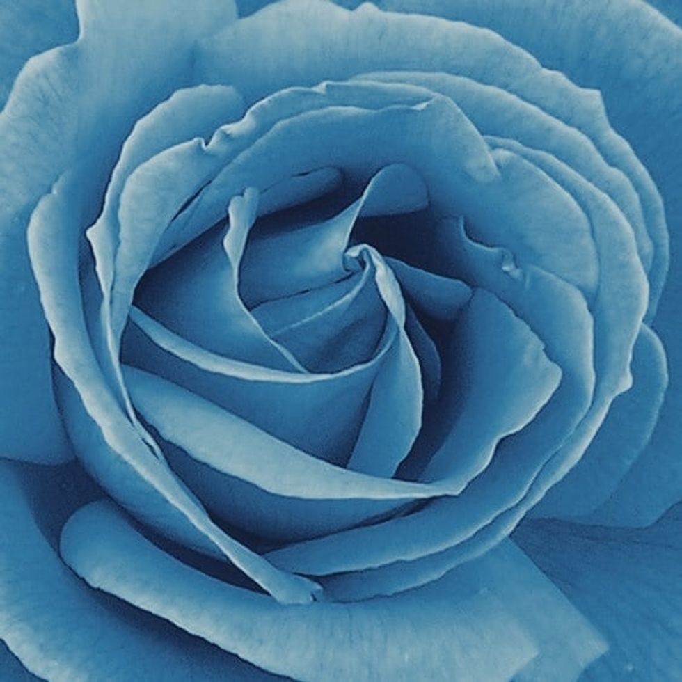 Poetry On Odyssey: Poem Of The Week