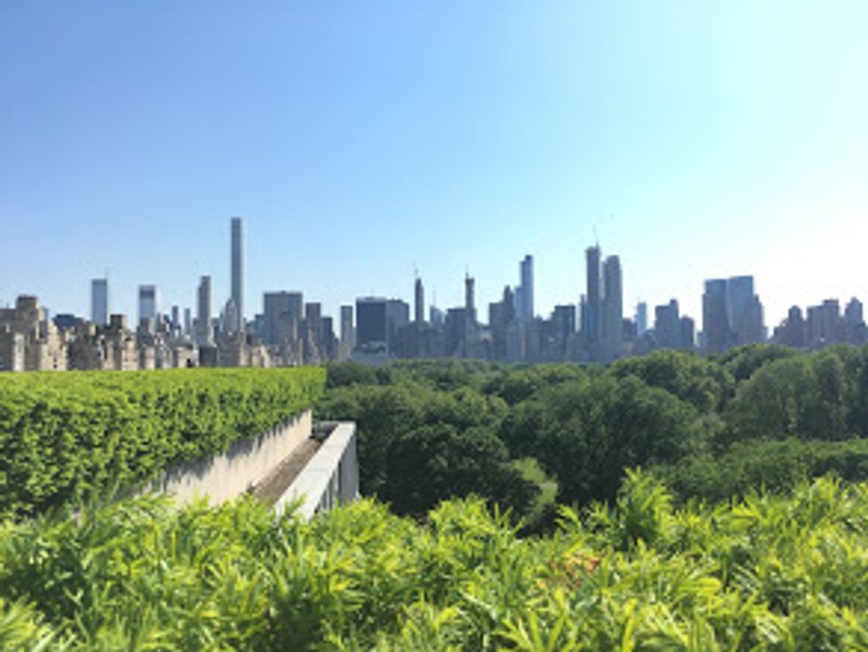 What Am I Doing With My Life? Alternative Living 2