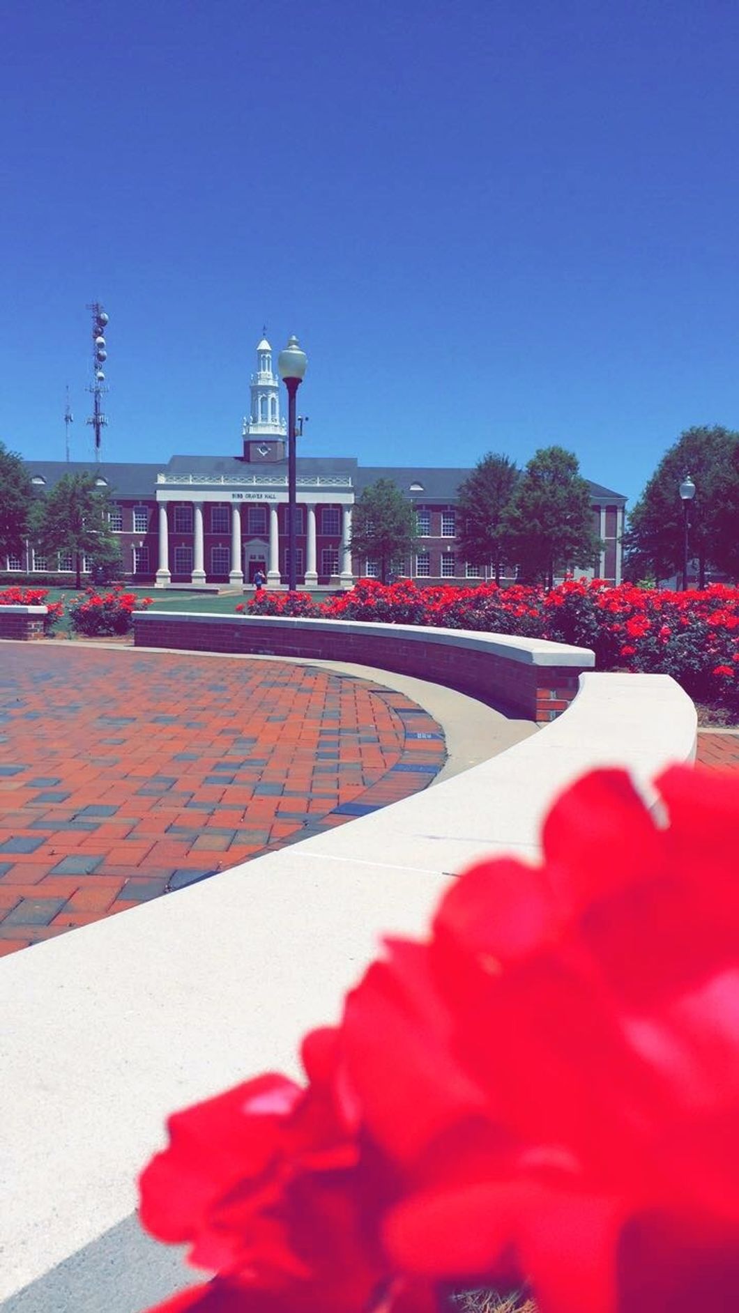 Parking Passes Should Be Free On College Campuses, We're Just Trying To Get To Class