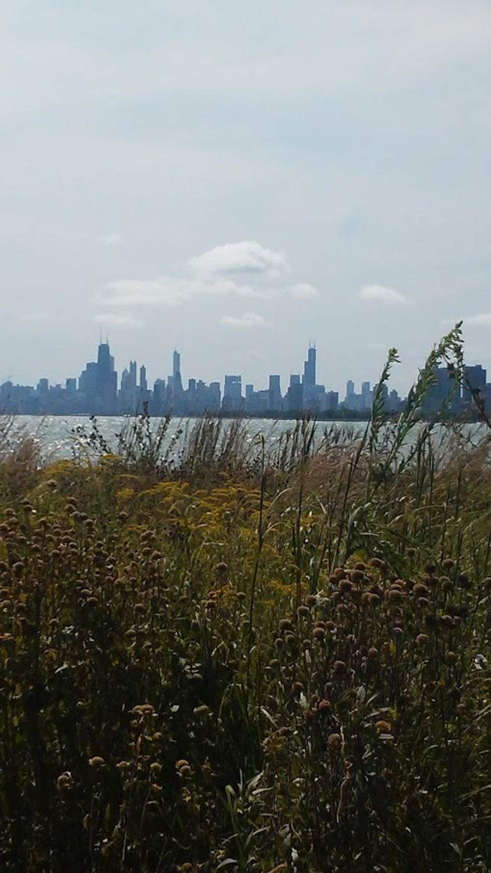 Top 3 Beaches In Chicago