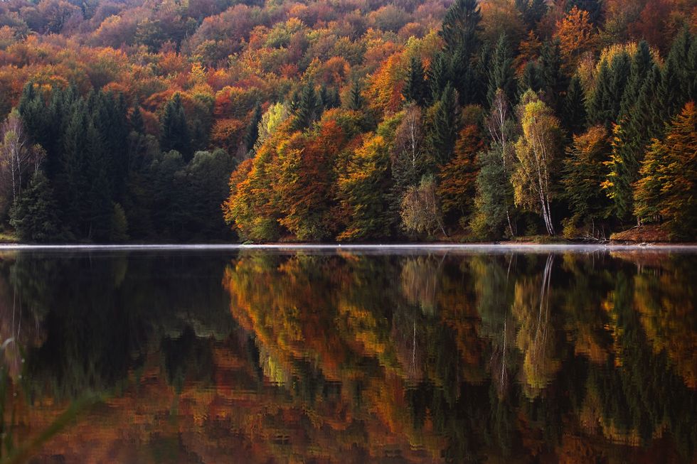 10 Reasons I Am Stoked For Autumn