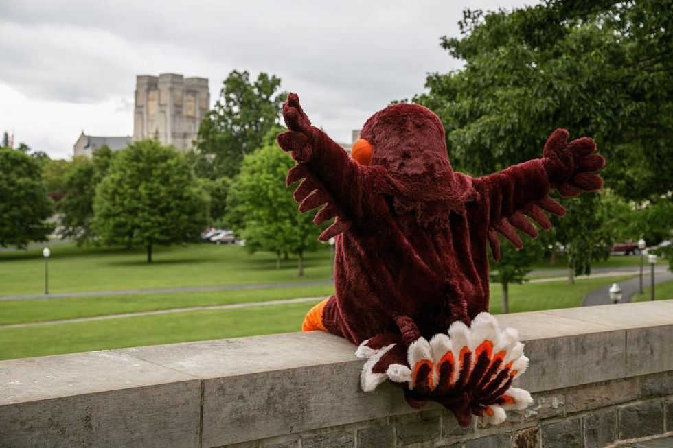 7 Productive Places To Study At Virginia Tech That AREN'T The Library