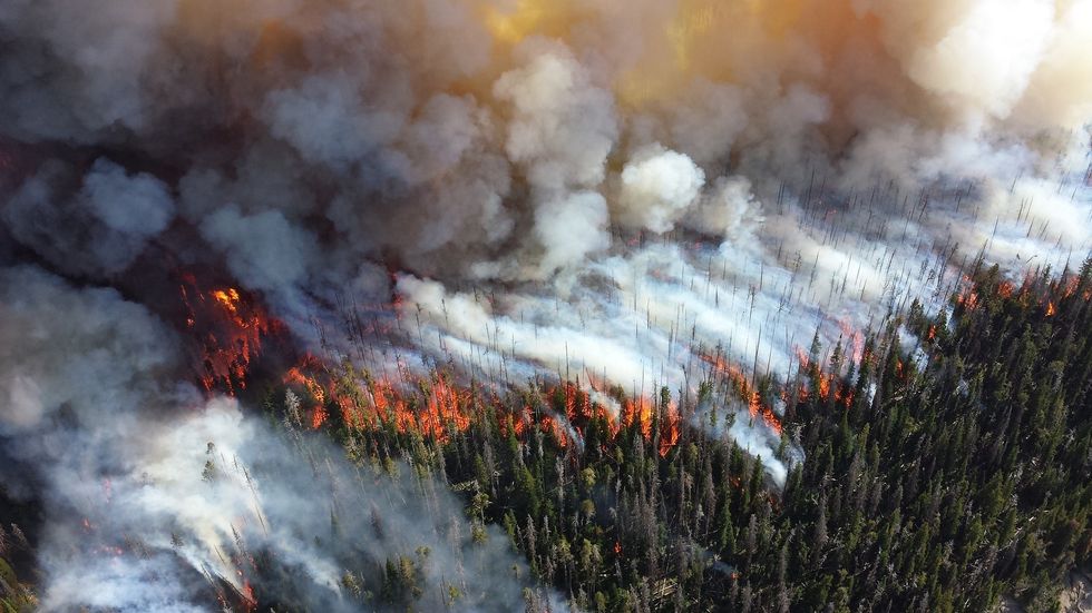 Quick Checklist For California Wildfire Preparedness