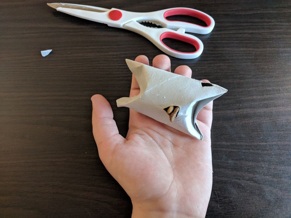 Never Buy A Cat Toy Again With These DIY Instructions