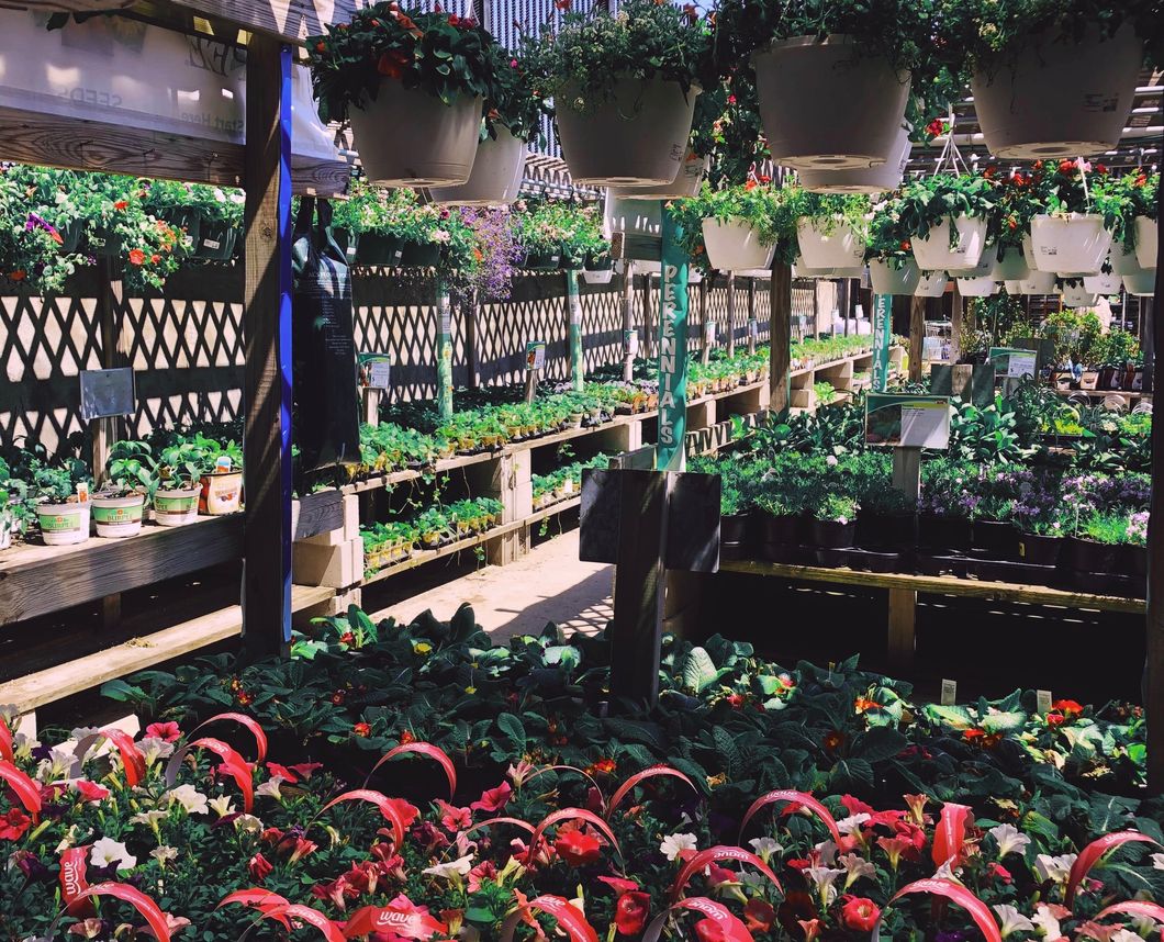 9 Ways To Make The Most Of Your Summer At Home