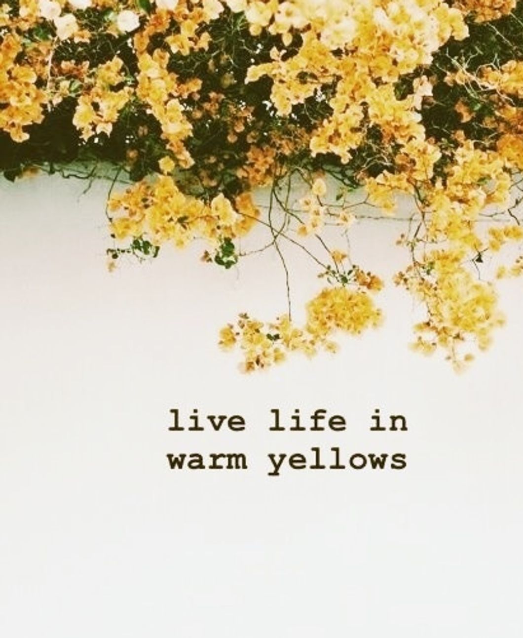 live life in warm yellows