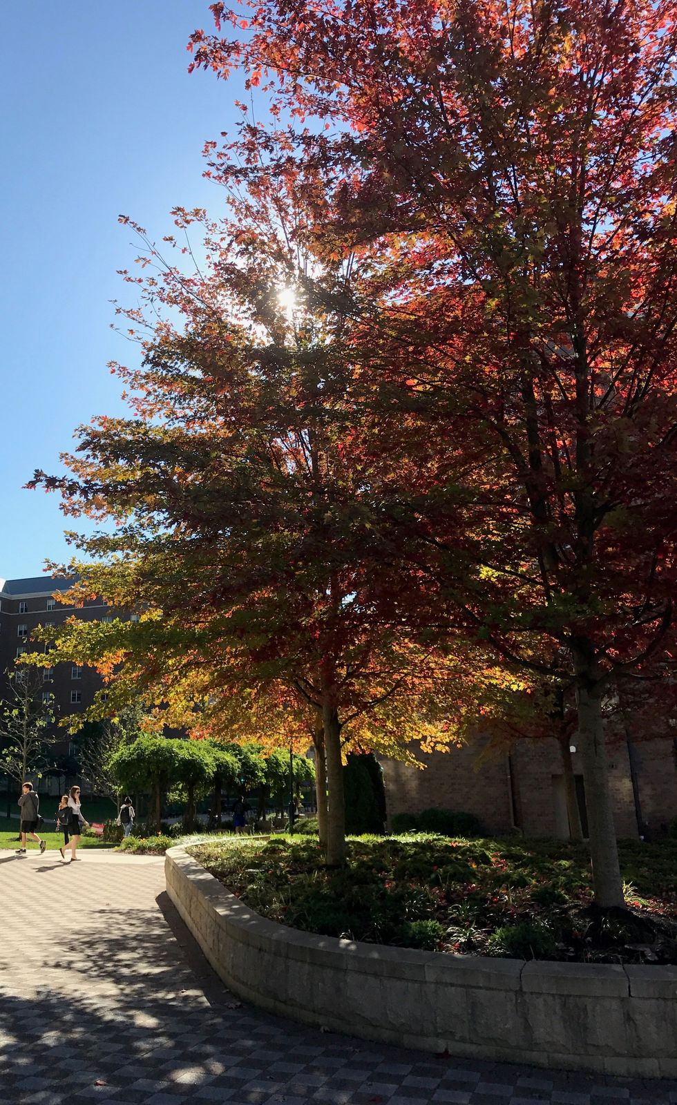 5 Helpful Tips for Incoming Freshmen