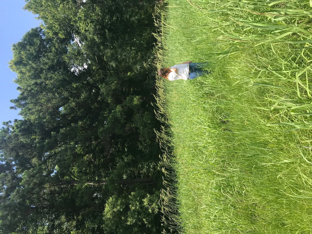 Poetry On Odyssey: Edit